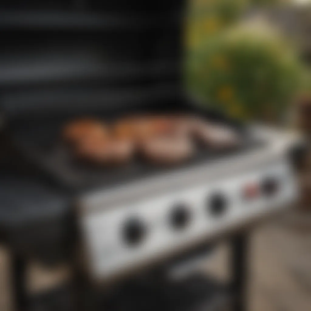 An In-Depth Examination of the Weber GS4 Gas Grill Culinary Adventure