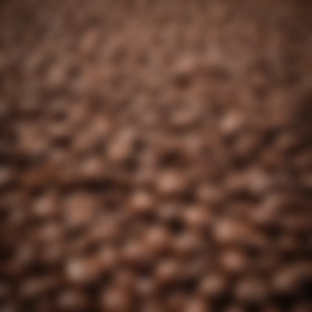 Sensory Delight of Aromatic Coffee Beans Aromatic Coffee Beans