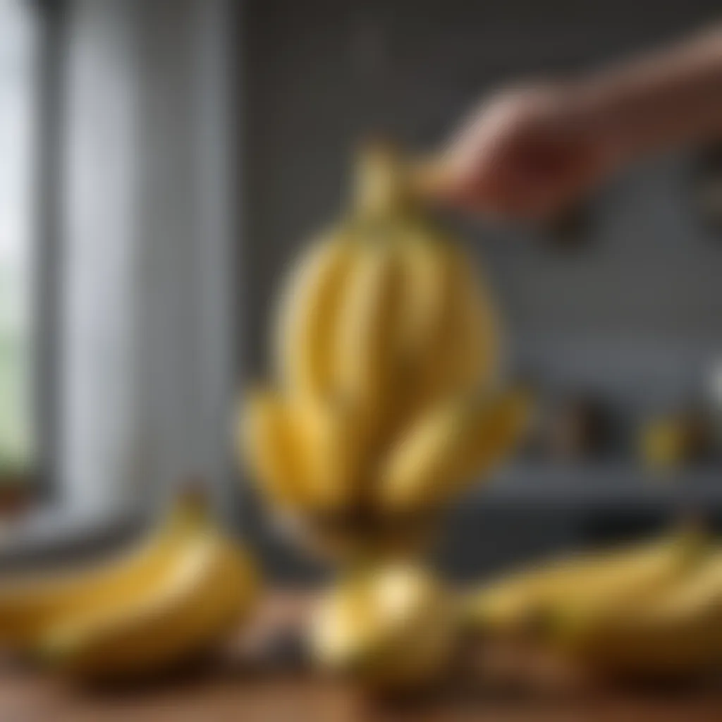 Banana holder with an abundance of ripe bananas emphasizing food preservation