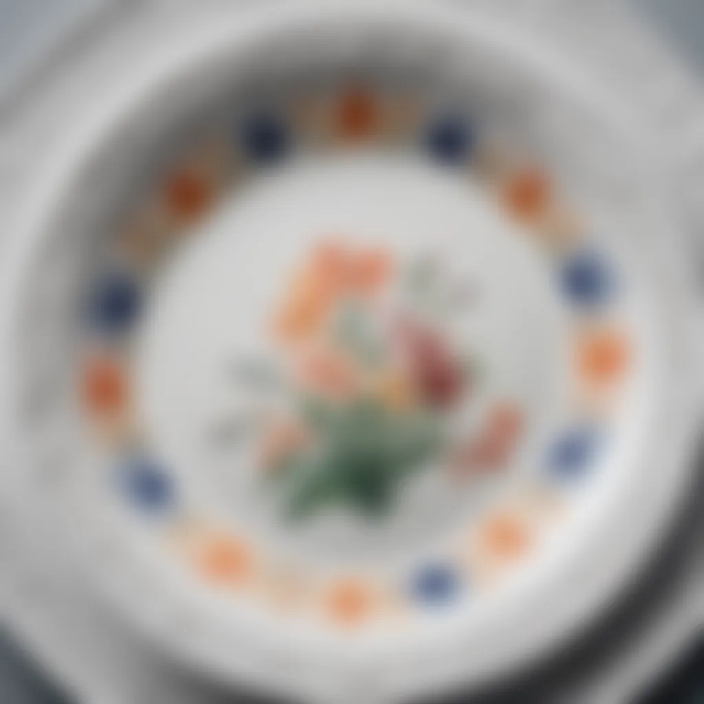 A close-up view of a modern porcelain plate showcasing intricate designs.