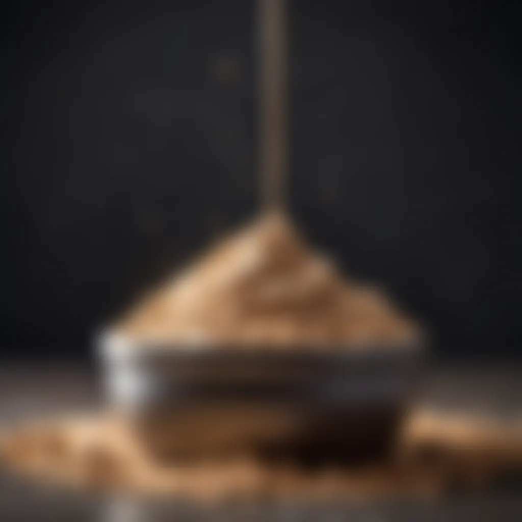 Spoonful of protein powder showcasing texture