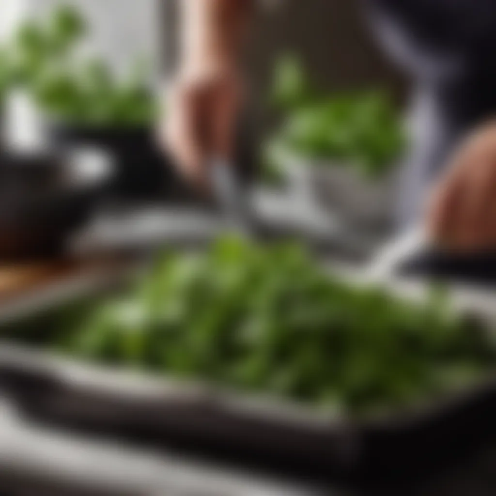 Fresh Herb Preparation Chopping Fresh Herbs