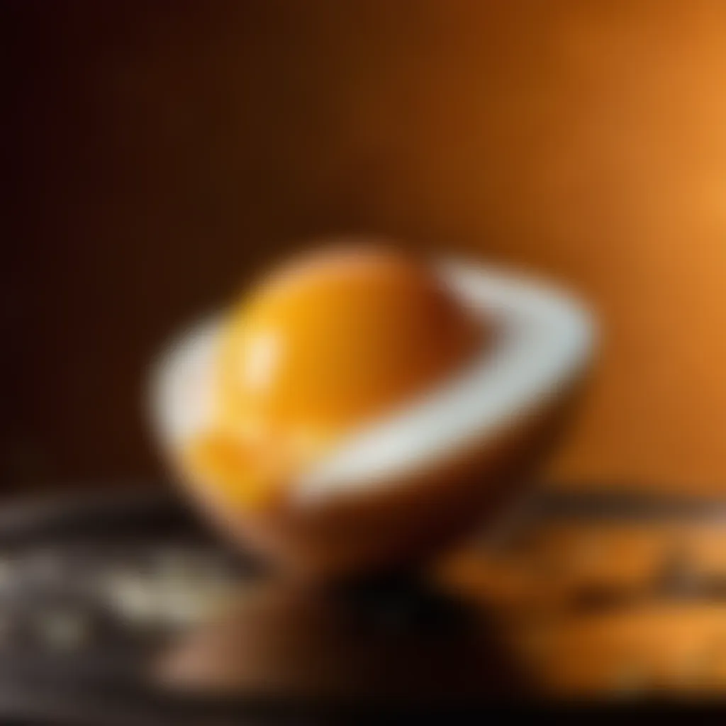 Egg-centric Gourmet Innovation Egg-centric Gourmet Innovation