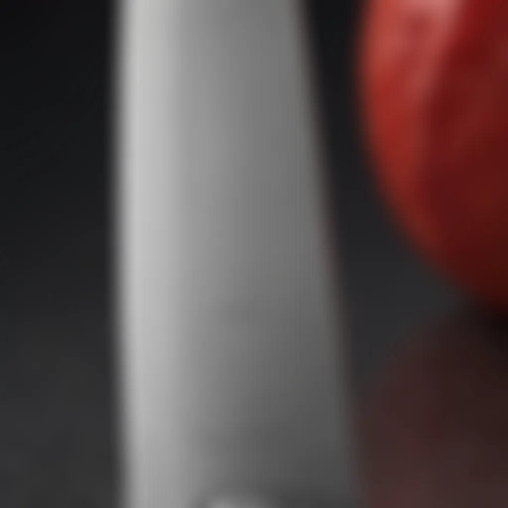 Close-Up of Cuisinart Knife Blade Detail