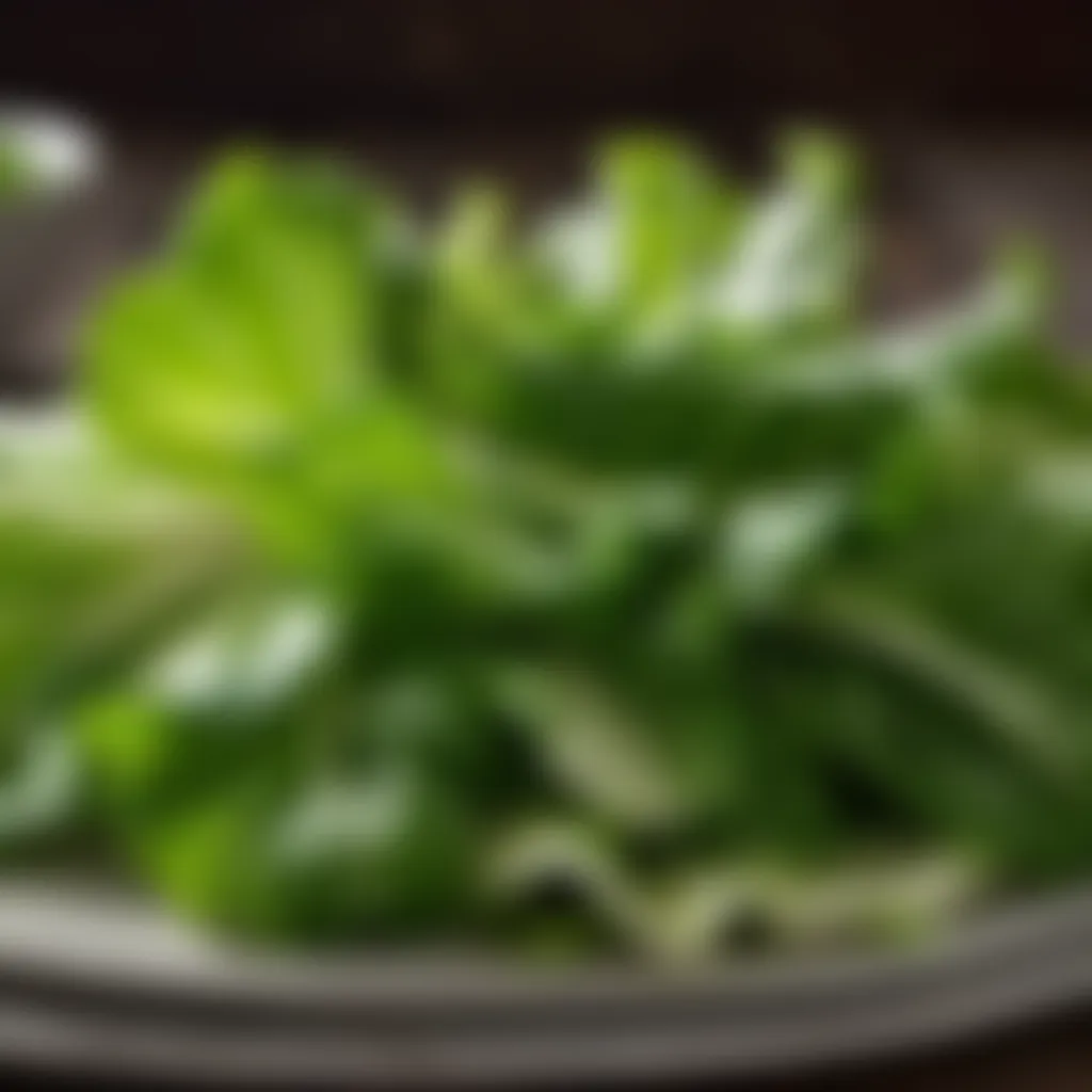 Fresh Escarole Leaves Fresh escarole leaves