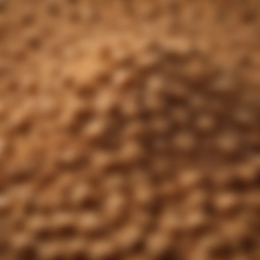 Close-up of brown sugar granules highlighting texture and color