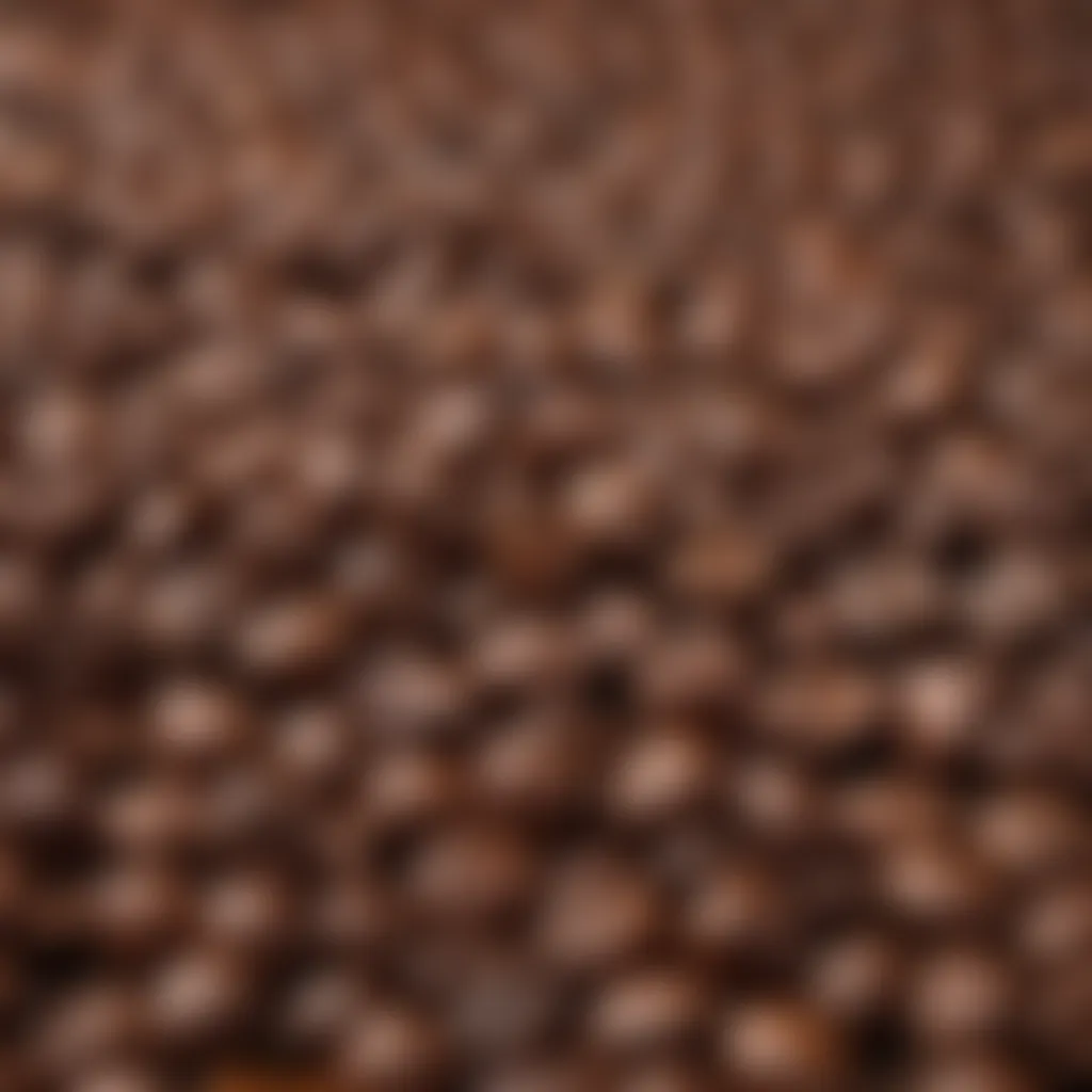 Close-up of rich and aromatic coffee beans