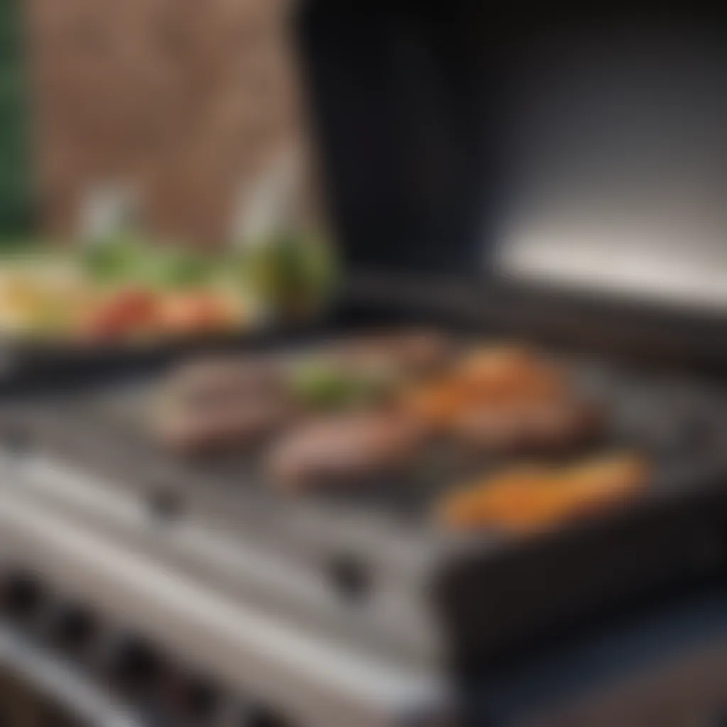 Essential features of a budget-friendly grill highlighted for consumers.