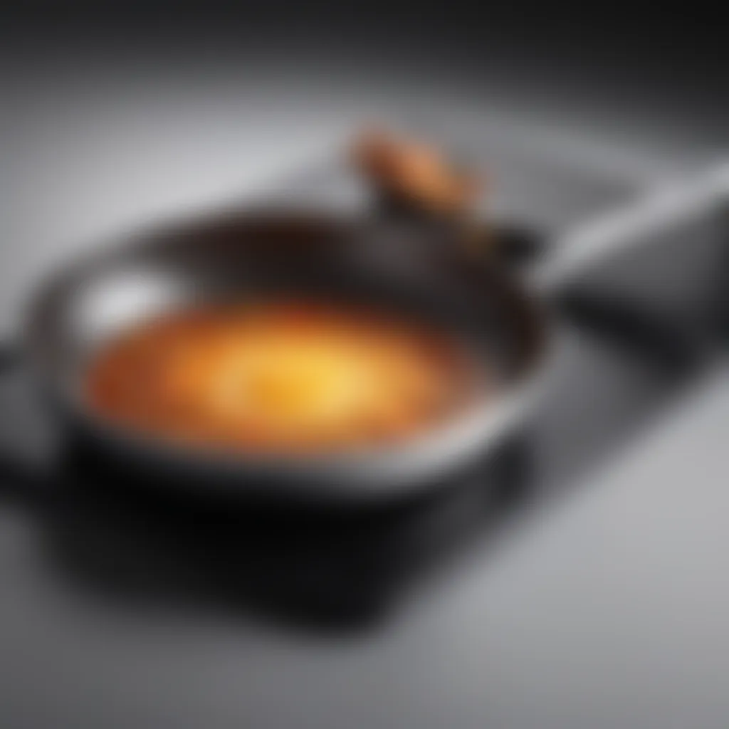 Close-up view of an induction frying pan showcasing its sleek design and materials.