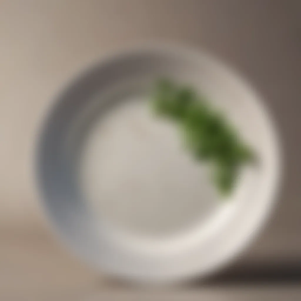 Eco-Friendly Dinnerware Materials A close-up of eco-friendly dinnerware materials representing modern sustainability trends.