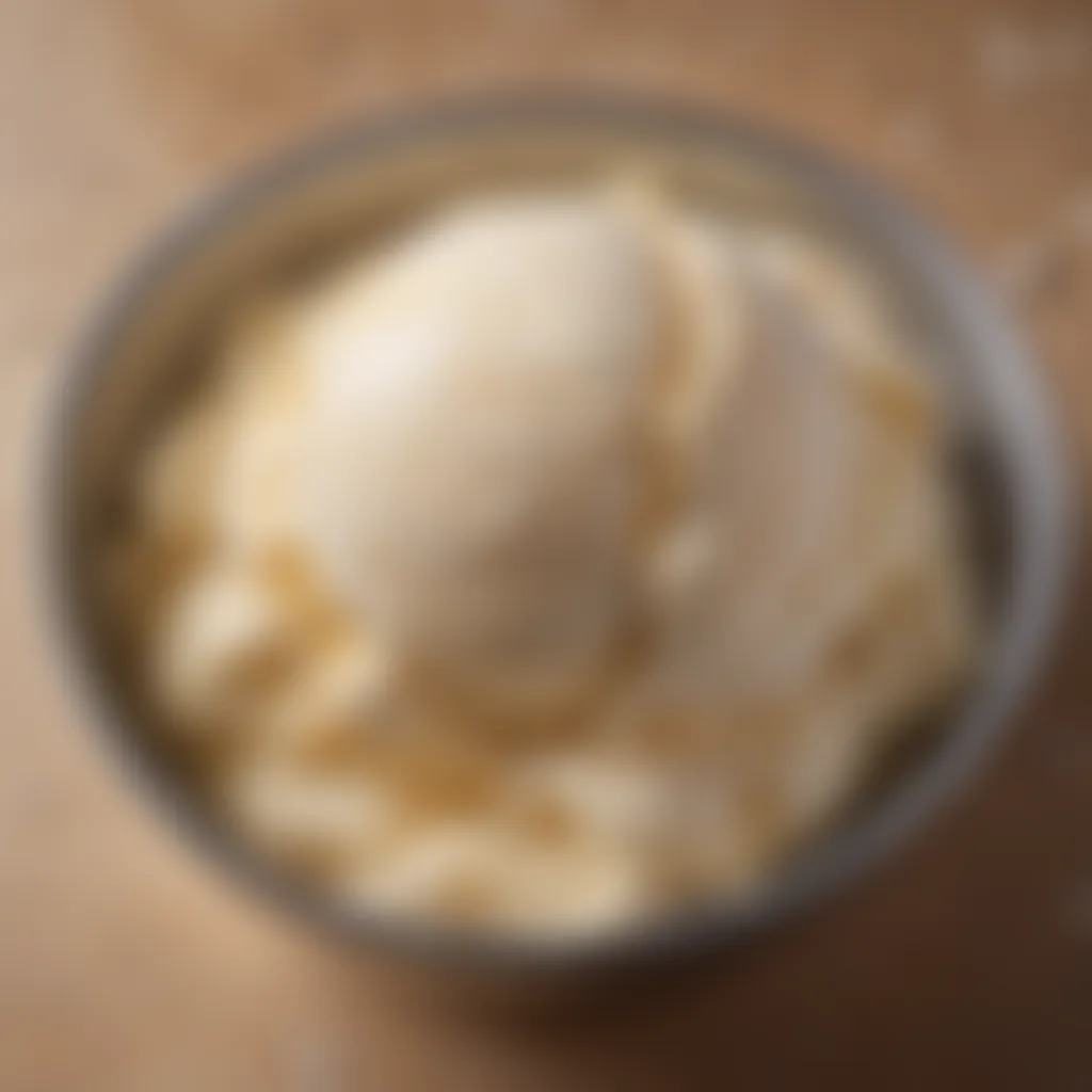 A close-up view of creamy ice cream base in a stainless steel bowl, highlighting its smooth texture.