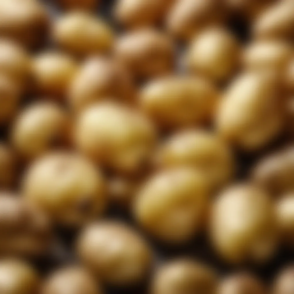 Greek potatoes close-up