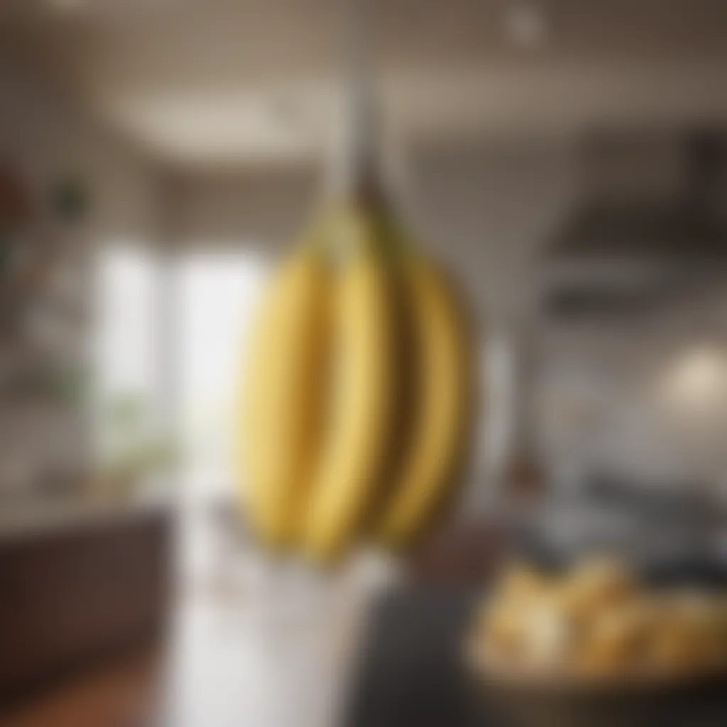 Stylish Hanging Banana Holder Stylish hanging banana holder in a modern kitchen setting