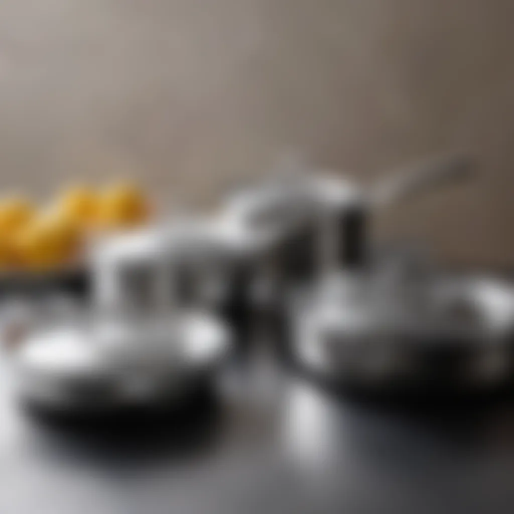 High-quality stainless steel cookware set showcasing sleek design