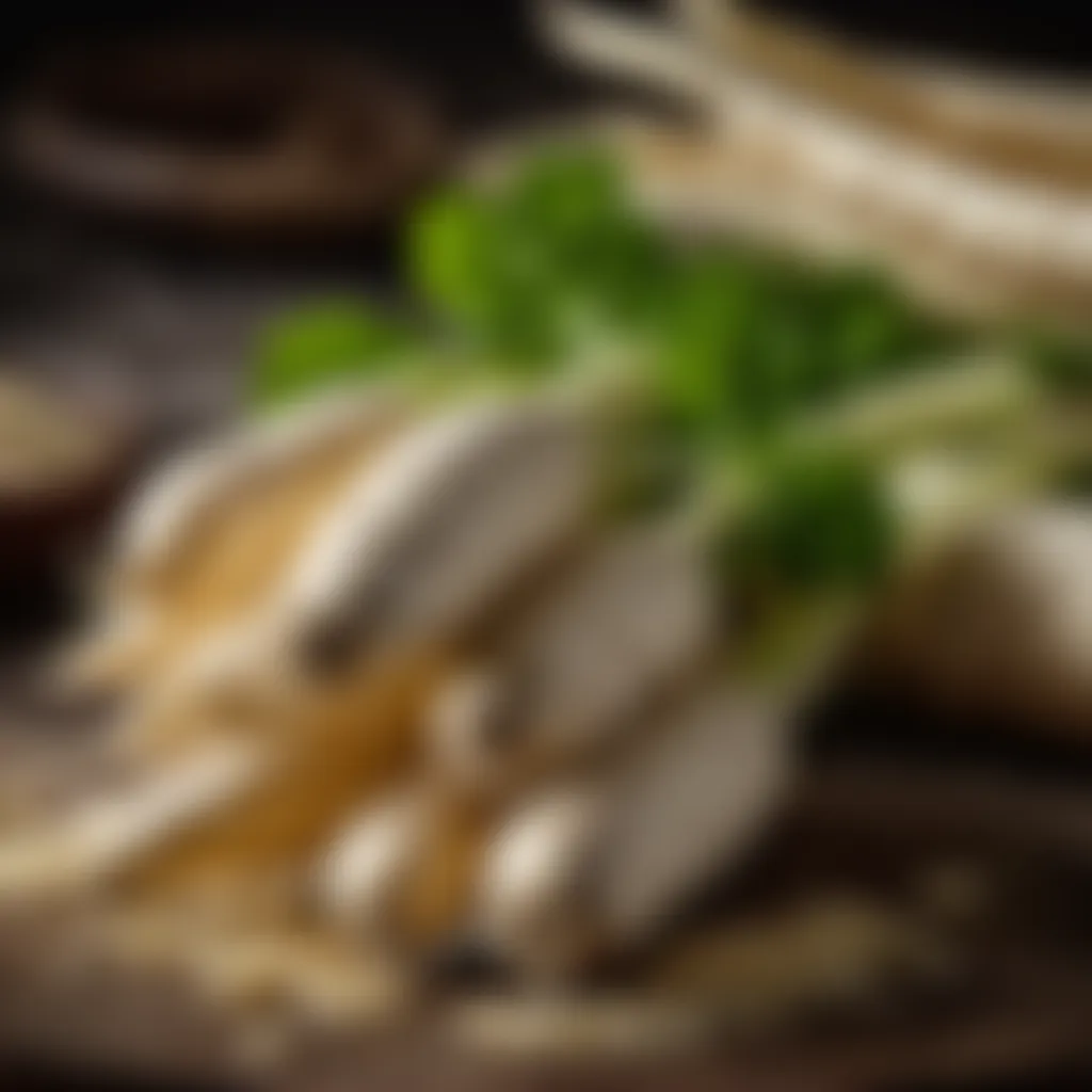 Fresh Horseradish Root Horseradish Root