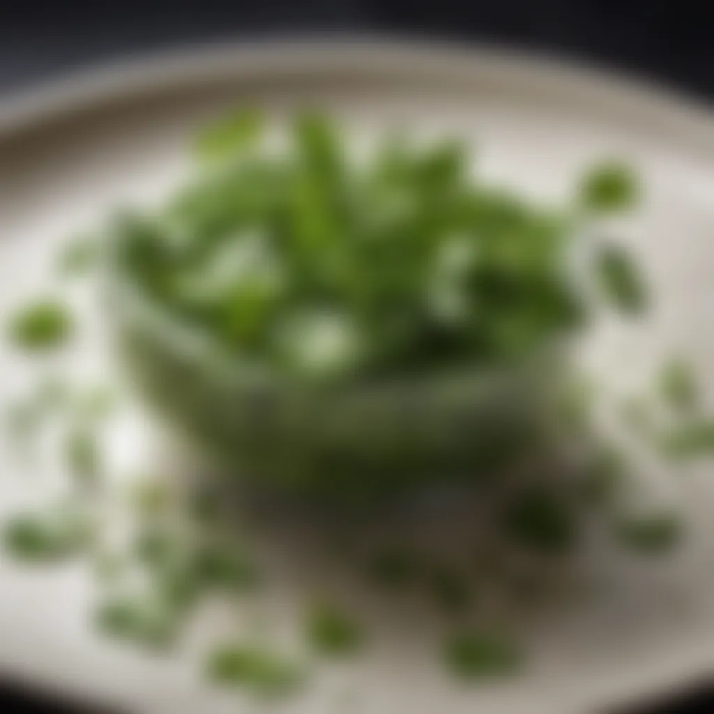 Cilantro garnish atop a beautifully plated dish