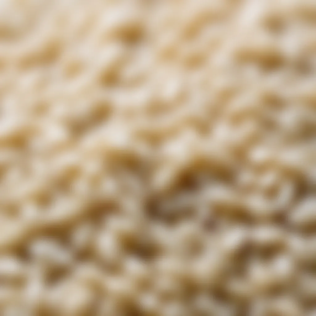 Jasmine Rice Grain Close-up