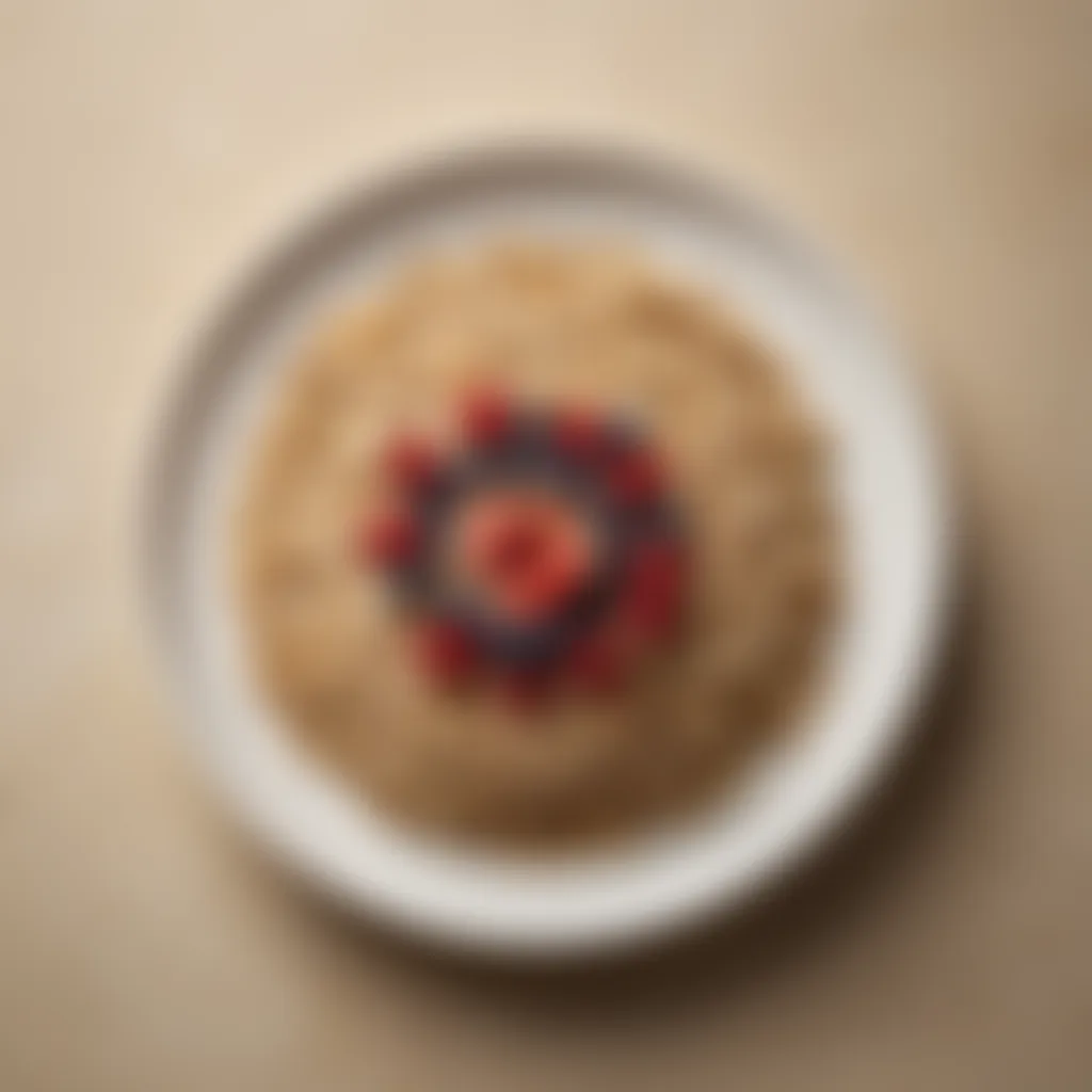 Artistic Oatmeal Plating for Culinary Enthusiasts