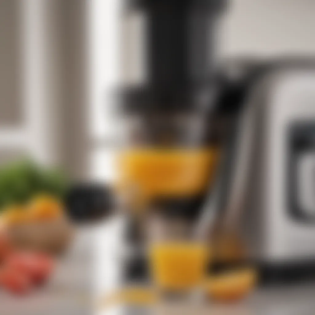 Close-up of the Omega Horizontal Slow Masticating Juicer showcasing its sleek design