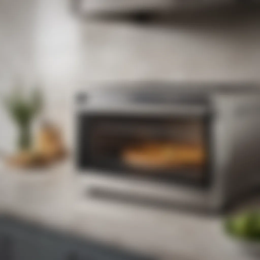 Sleek Aesthetics of the Oster Oven Elegant design of the Oster French Door Countertop Oven