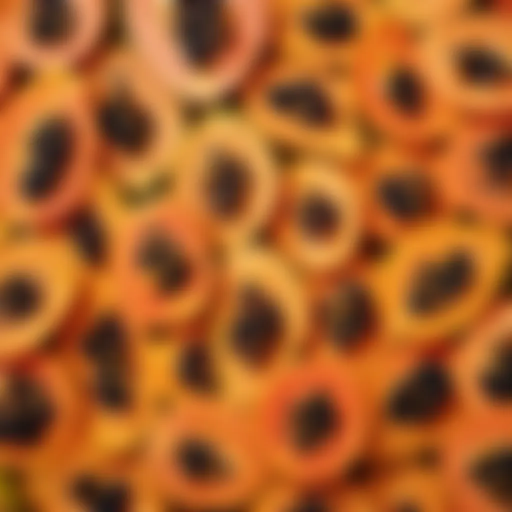 Exploring Exotic Papaya Varieties Exotic papaya varieties
