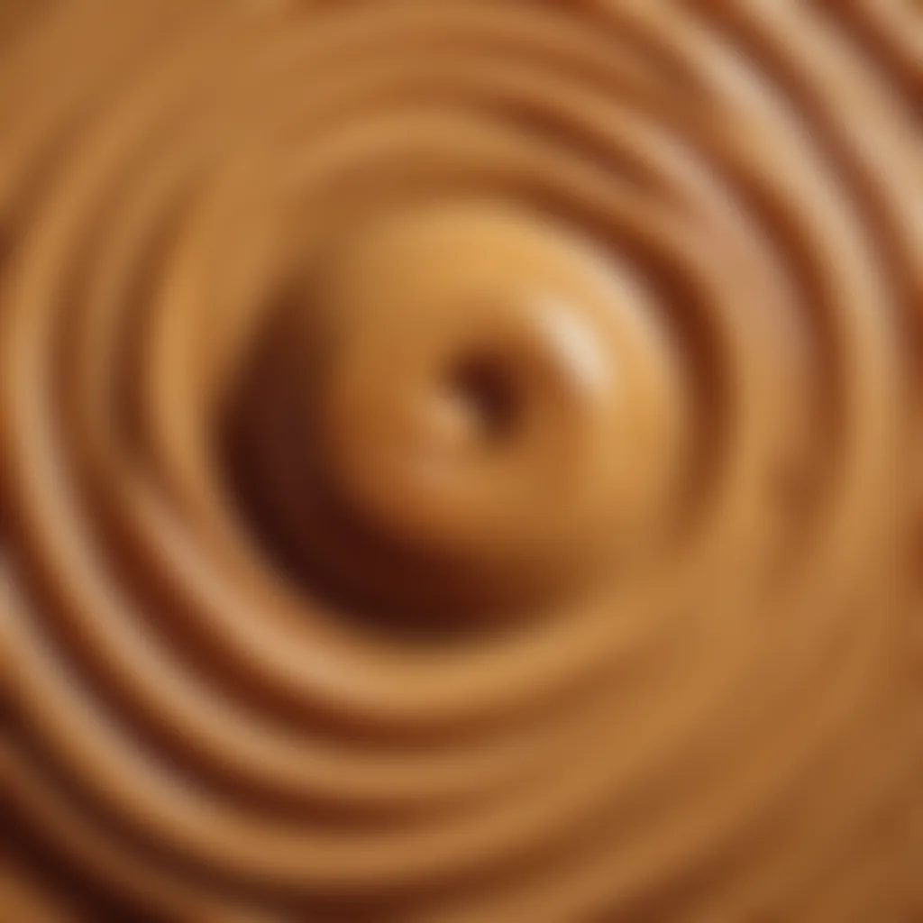 Sumptuous Peanut Butter Caramel Swirl Creamy Peanut Butter Caramel Swirl