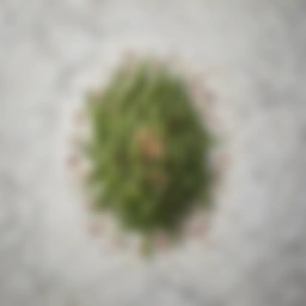 Artistic overhead view of ingredients for Arkansas green beans recipe arranged on a marble countertop