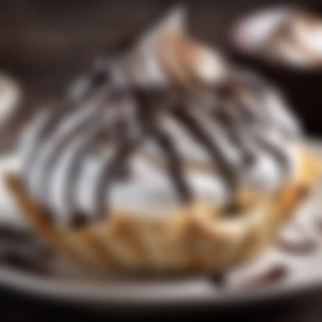 Decadent Meringue Nest with Dark Chocolate Drizzle