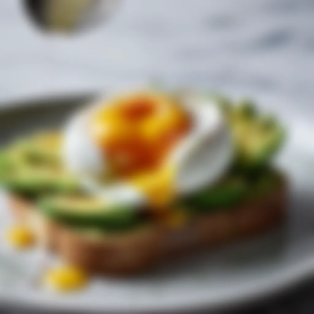 Poached Egg on Avocado Toast