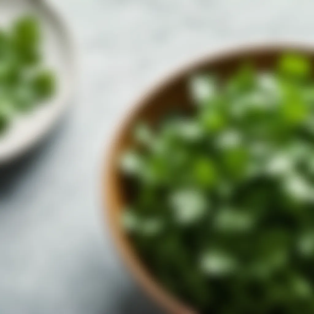 Freshly picked cilantro leaves in a bowl