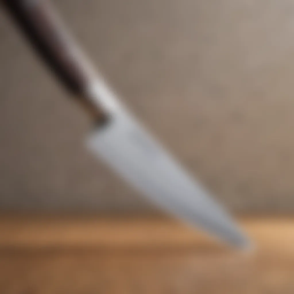 Close-up view of a precision kitchen knife blade