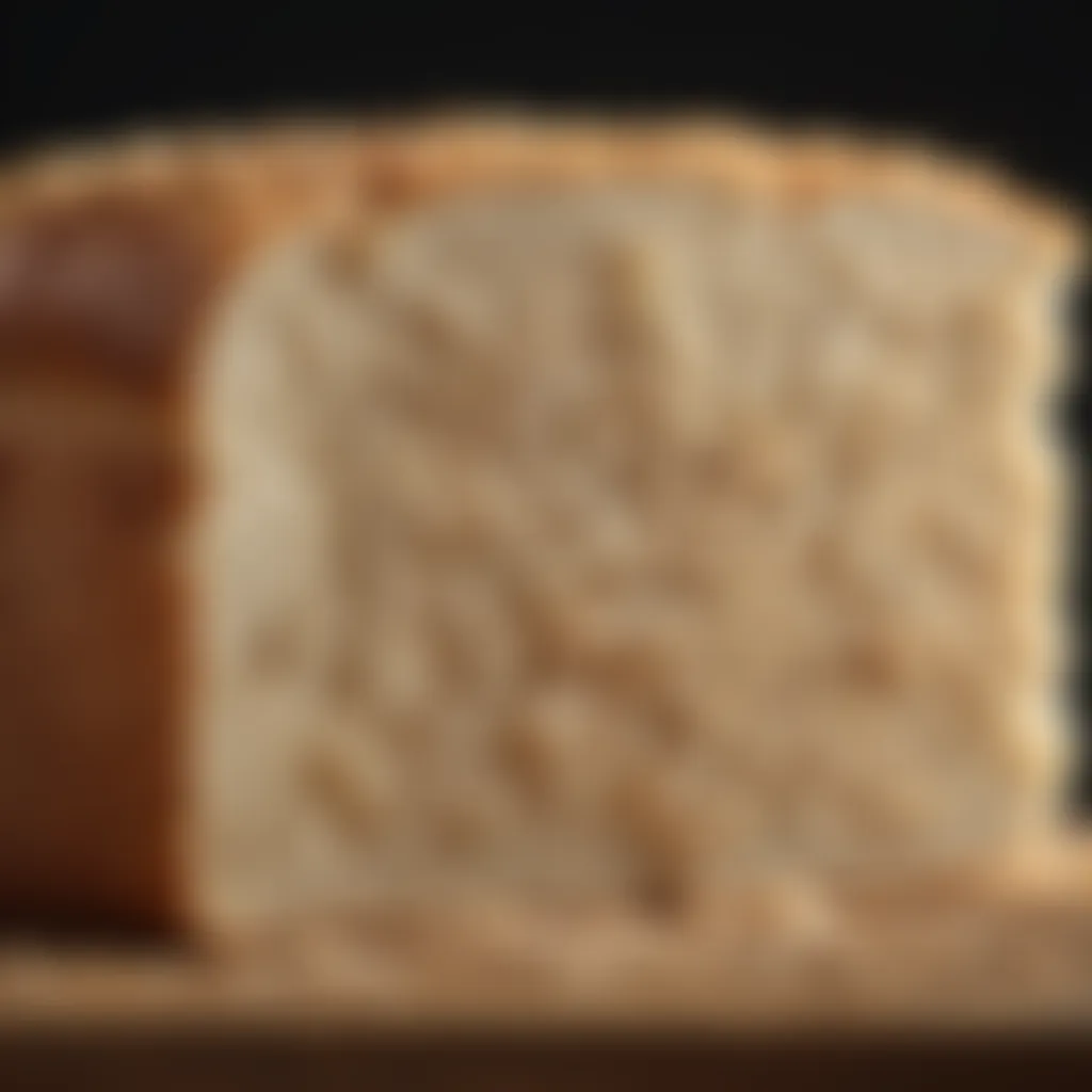 Crumb Structure of Sourdough Bread Slice