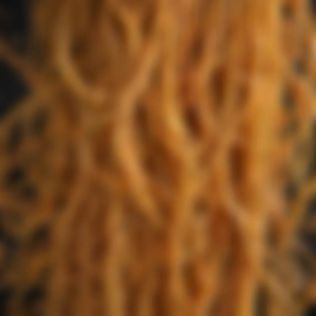 Spaghetti Texture