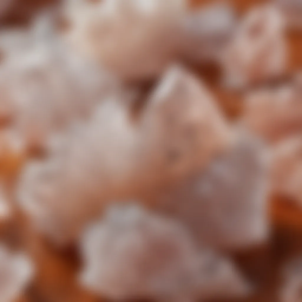 Close-up of salt crystals on turkey skin