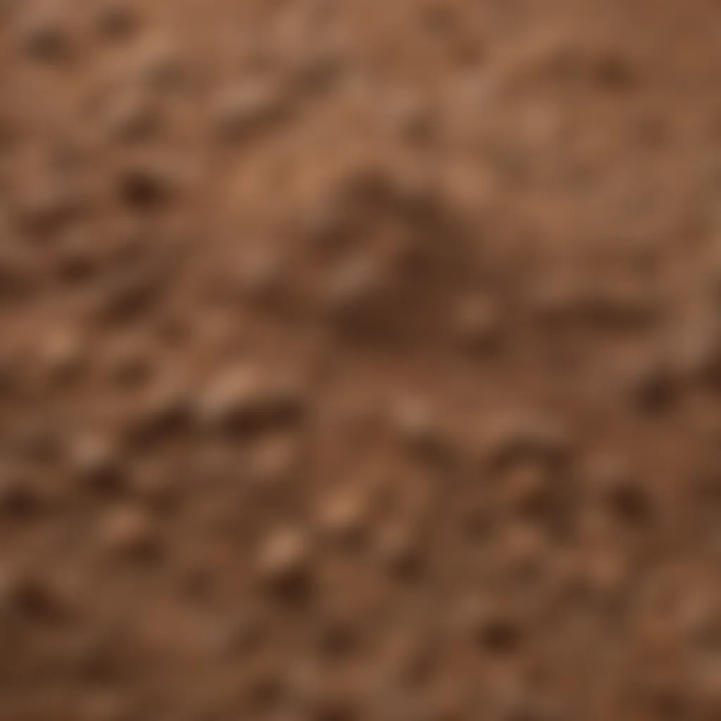 Close-up view of brown petal dust showcasing its texture and granularity