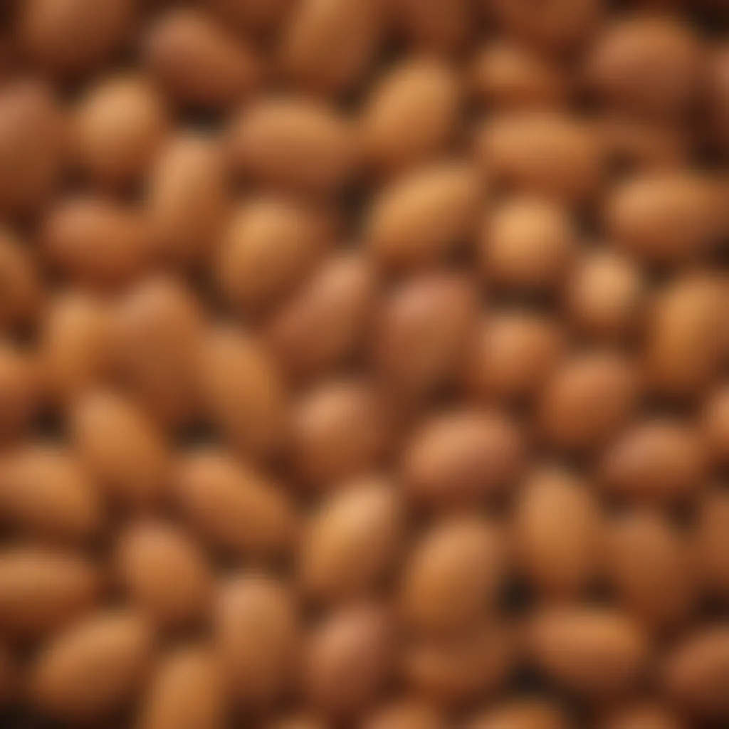 A close-up view of a handful of raw almonds highlighting their natural texture