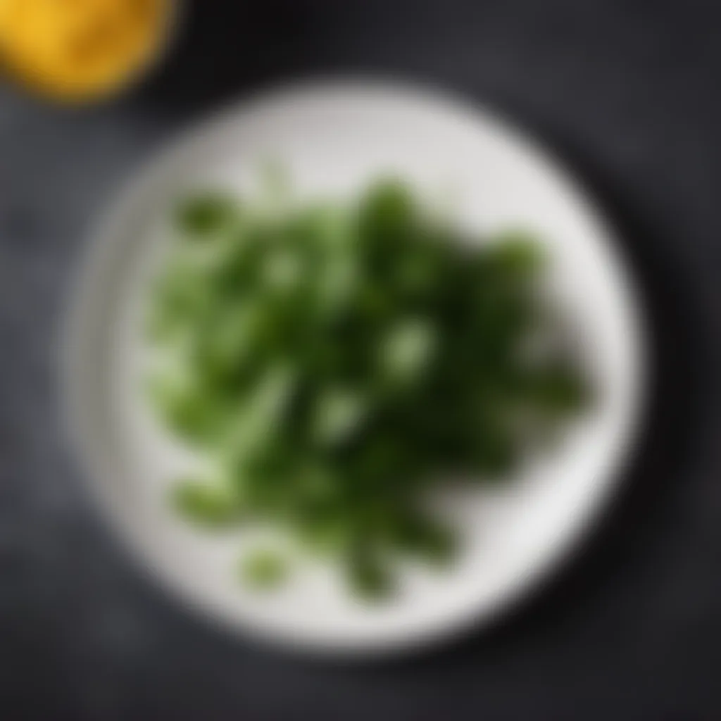 Freshly Picked Cilantro Leaves on White Ceramic Plate