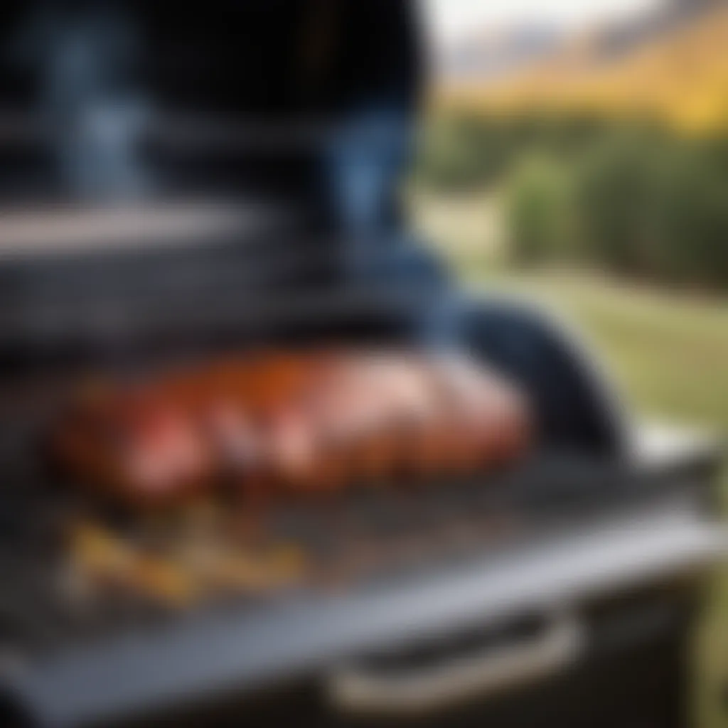 Traeger Smoker Infusing Smoky Flavor