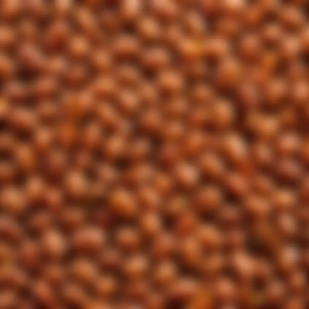 Exquisite Seasoning Combination Tesco baked beans seasoning blend