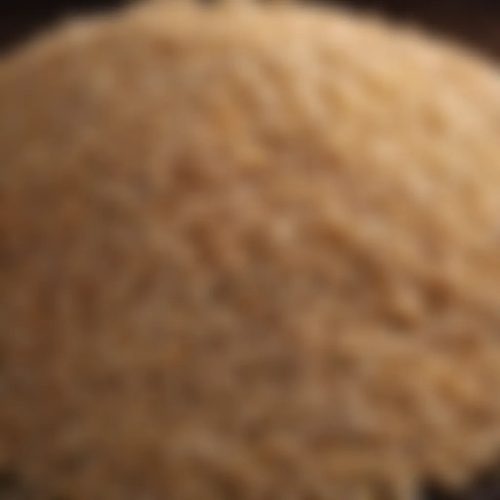 Uncooked brown rice grains with selective focus