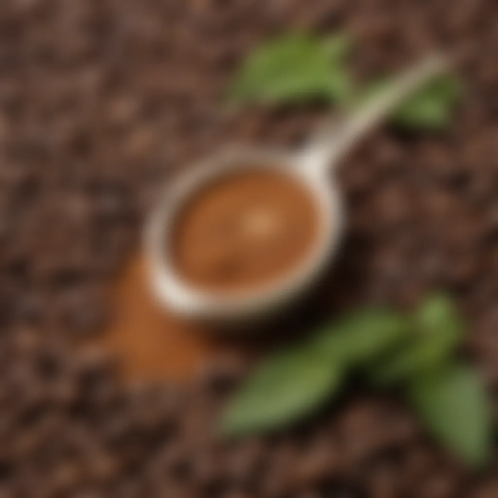 A visual representation of coffee beans and ingredients sourced for Chameleon Cold Brew, emphasizing quality and origin.