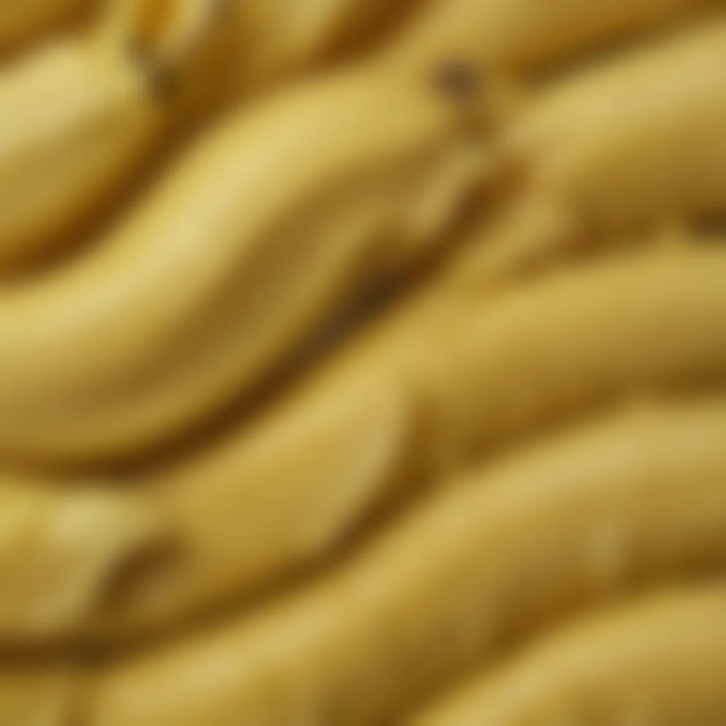 A close-up of a sliced Japanese banana showcasing its unique texture and color.