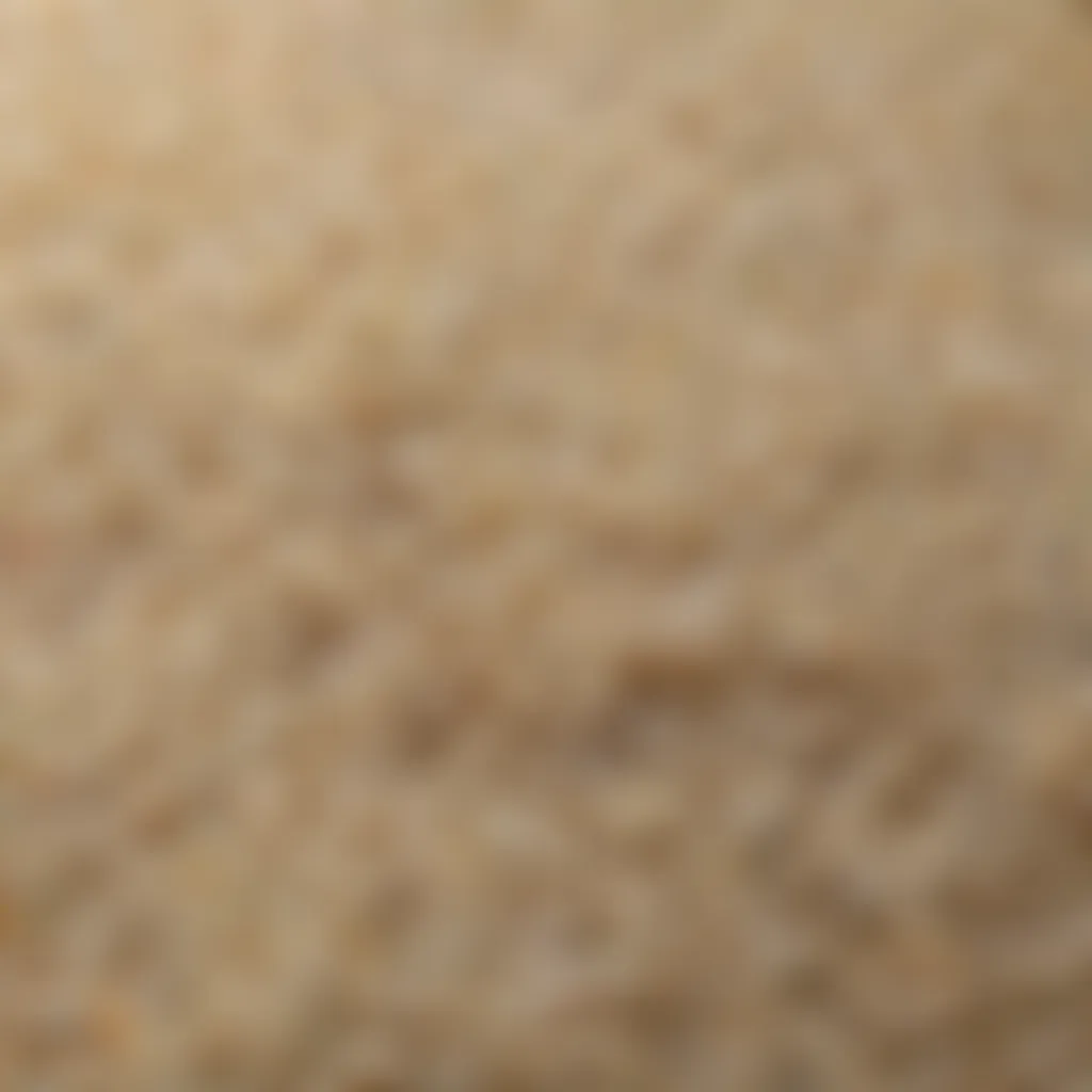 A close-up of the texture of perfectly panned rice grains