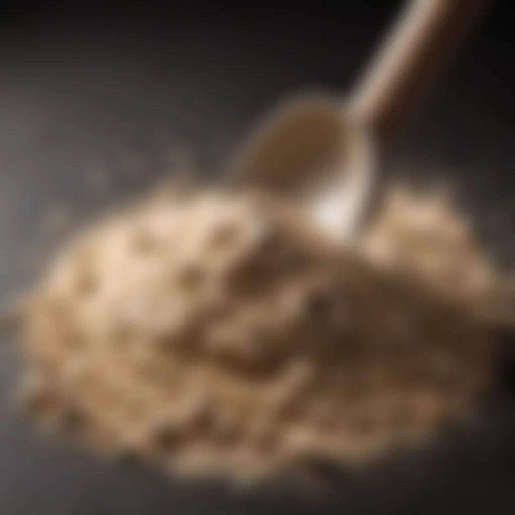 Close-up of whey protein powder with a scoop