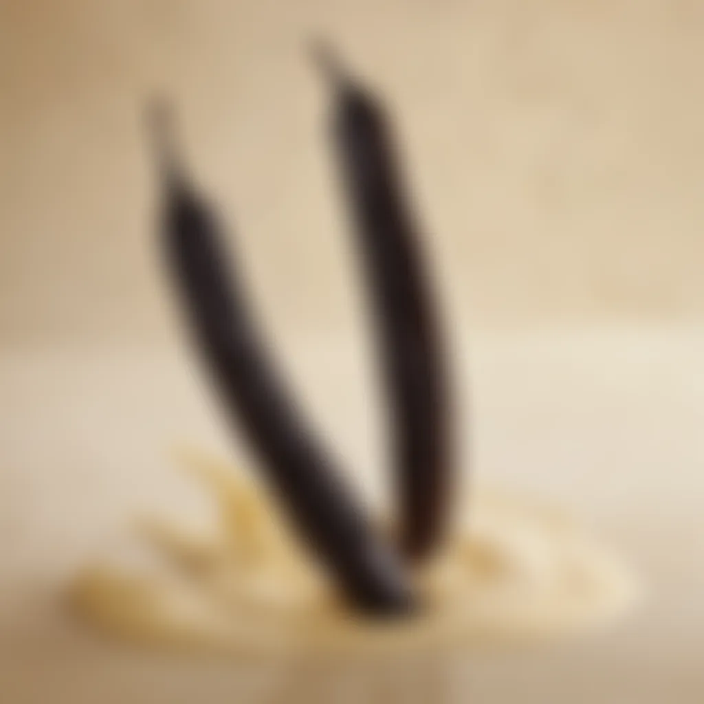 Vanilla Beans Close-Up