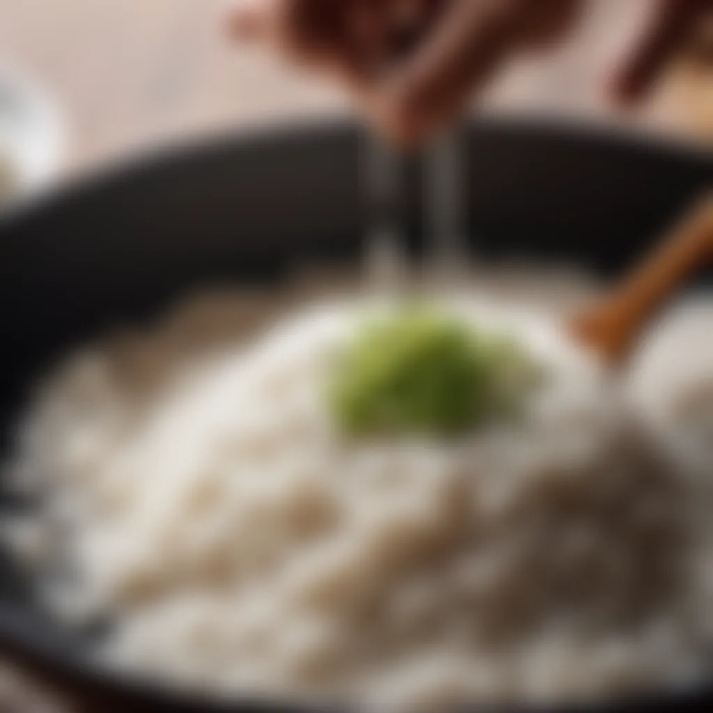 Zen-like rice preparation